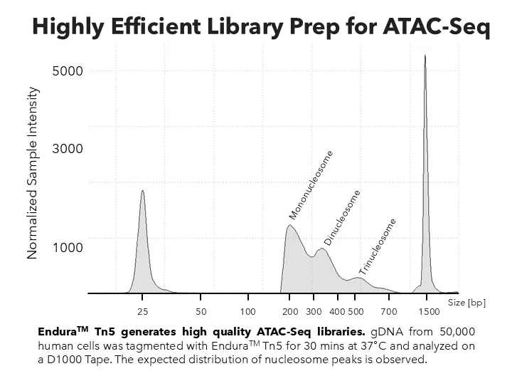 Endura Tn5 Transposase