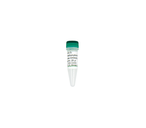 Anti-5-Hydroxymethylcytosine Polyclonal Antibody