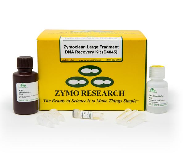 Zymoclean Large Fragment DNA Recovery